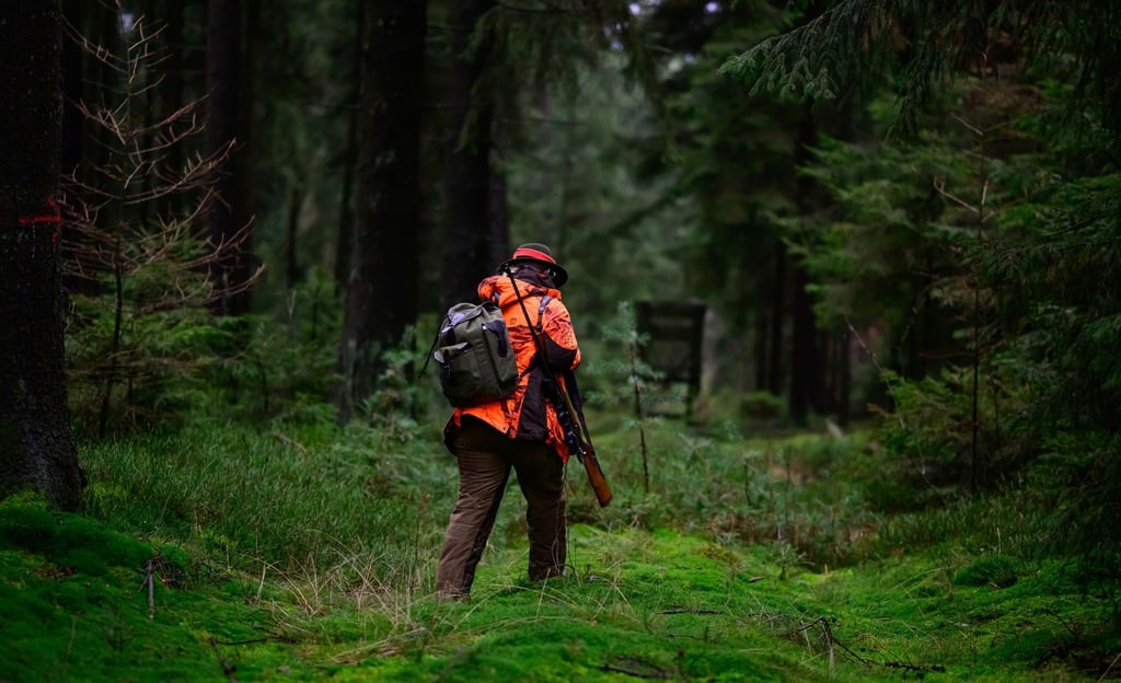Eine Jägerin geht durch den Wald zu einem Hochsitz.