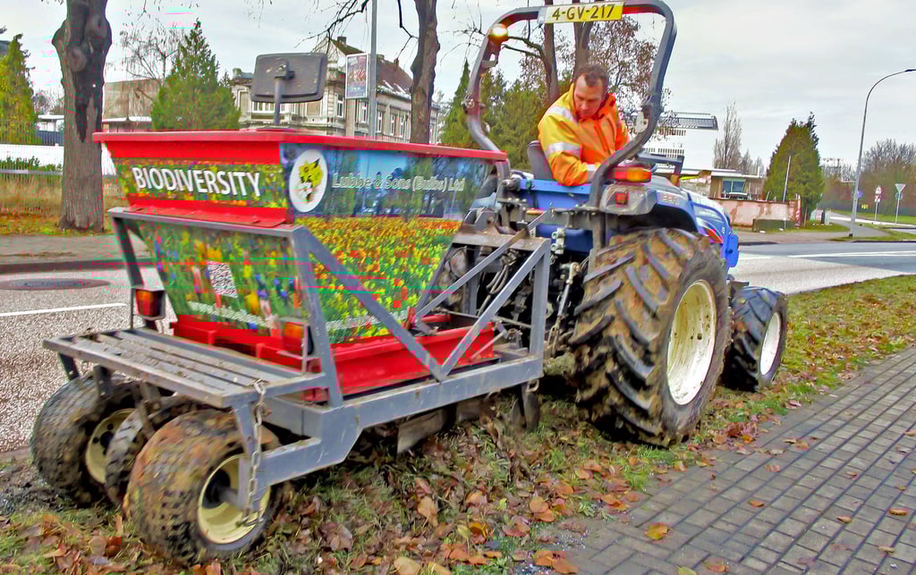 Ein Mitarbeiter der Firma Lubbe Lisse setzt mit einer Pflanzmaschine Blumenzwiebeln auf einem Grünstreifen an der Dessauer Straße in Köthen.