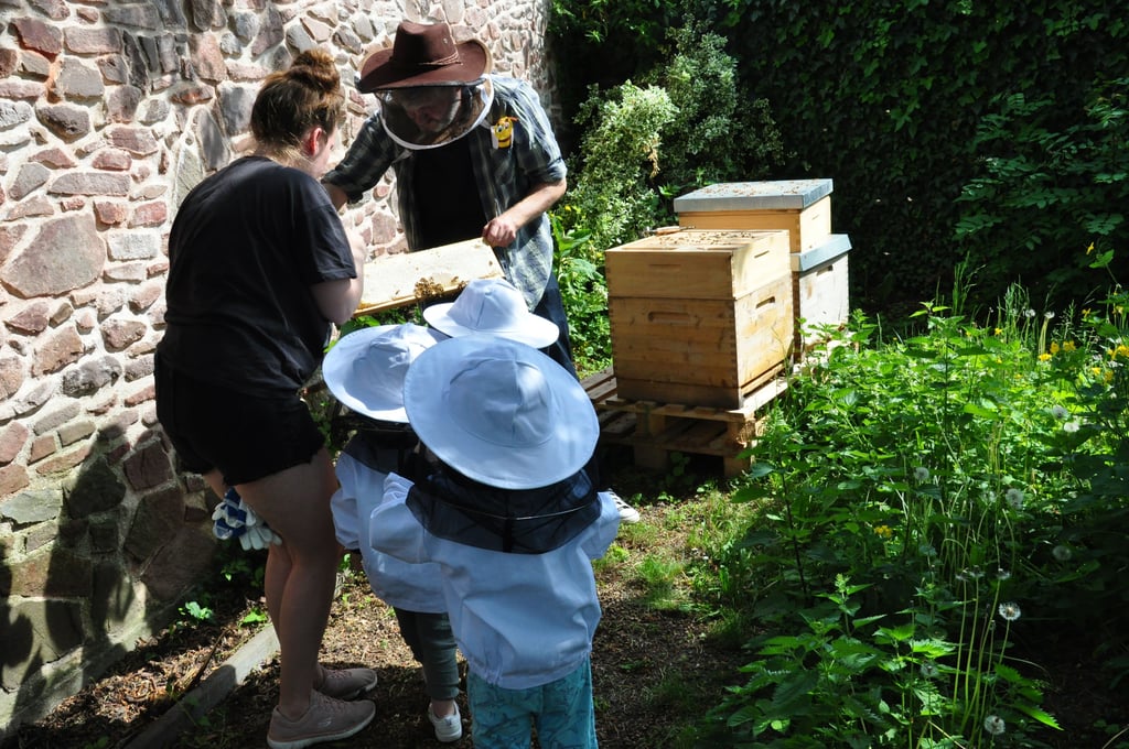 Das Bienenprojekt bei der Alzheimer Gesellschaft in Magdeburg-Diesdorf kommt bei den Kindern der benachbarten Kita wie auch den Tagesgästen der Betreuungsstätte richtig gut an.