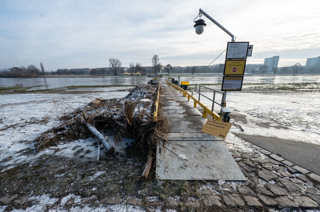 Treibgut war nach dem letzten Hochwasser am Anleger der Elbfähre im Stadtteil Neustadt festgefroren.