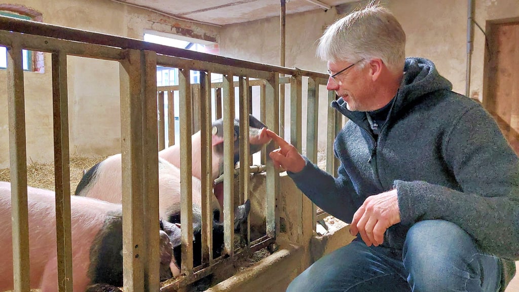 Stephan Polzin mit seinen Ferkeln. Zehn bis 20 der Tiere zieht er auf seinem Hof in Sandbeiendorf pro Jahr groß.