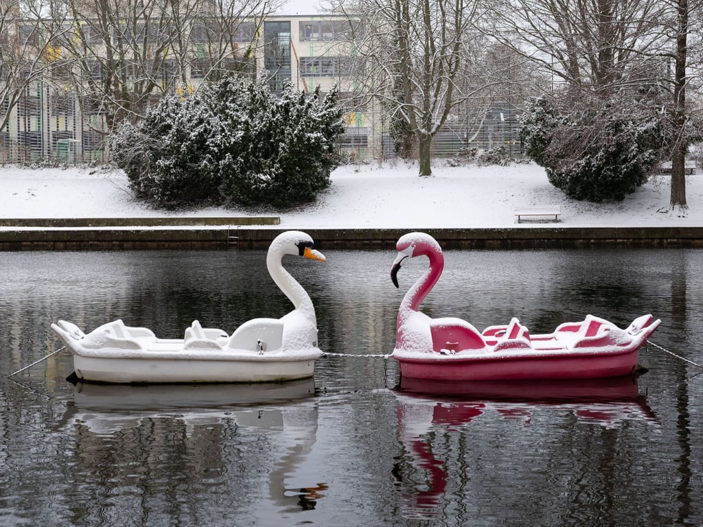 Schneebedeckt: Zwei Tretboote in Form eines Schwans und eines Flamingos auf der Havel in Potsdam.