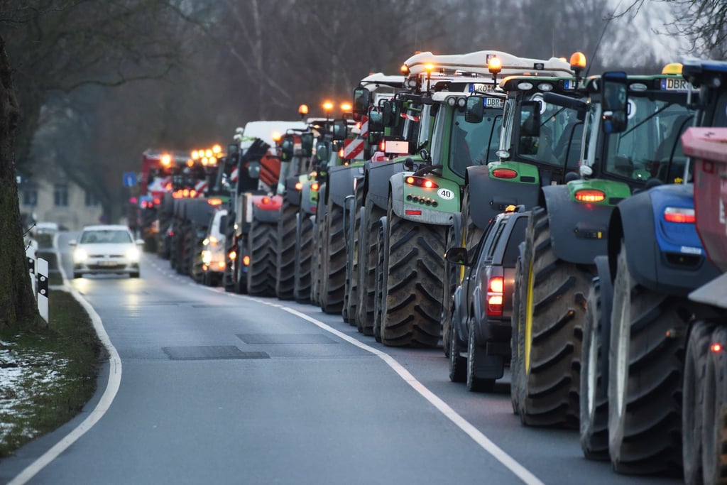 Zahlreiche Traktoren stehen auf einer Straße.