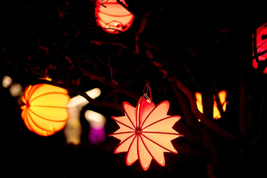 Bunte Lampions hängen während des Lichtblütenfestivals im Park der Gärten in Bad Zwischenahn einem Baum.