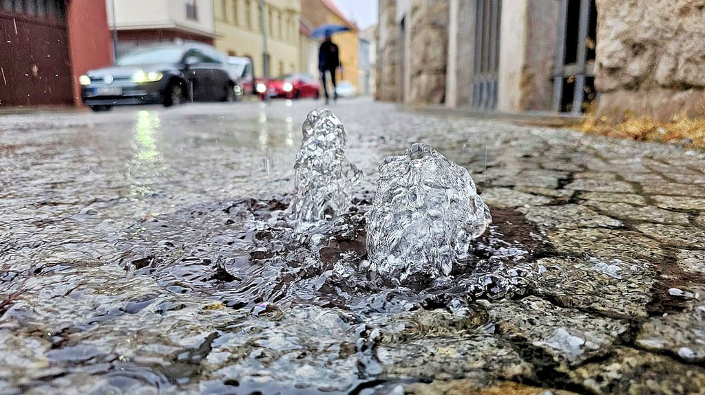 Trotz der warmen Temperaturen hat es im vergangenen Jahr in der Region um Aschersleben auch sehr viel geregnet.