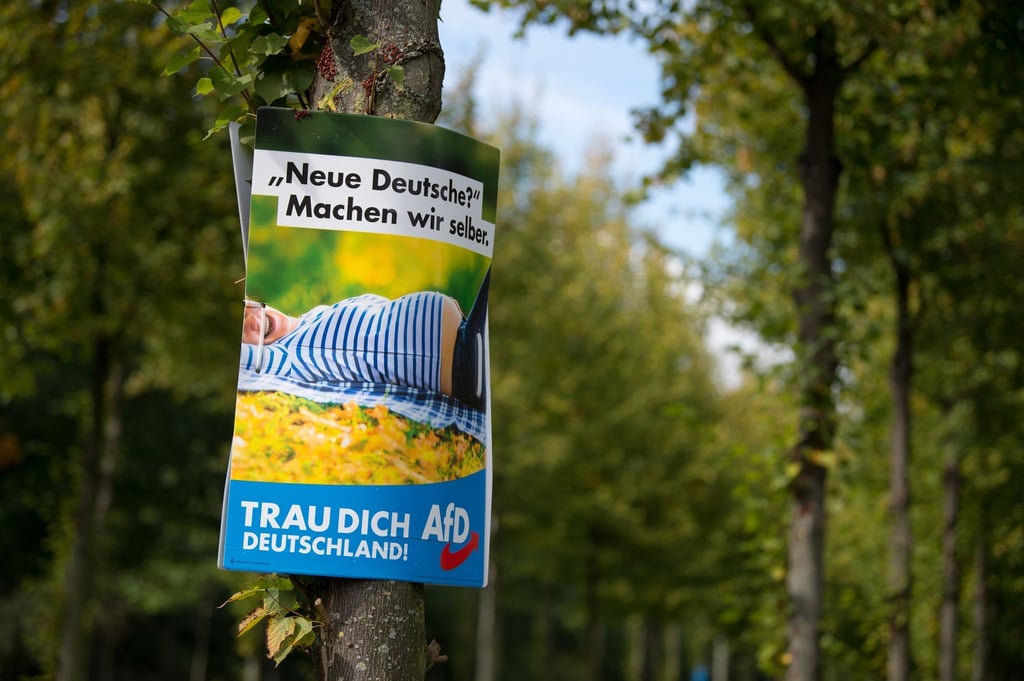 Ein AfD-Wahlplakat aus dem Jahr 2017 in Dresden.