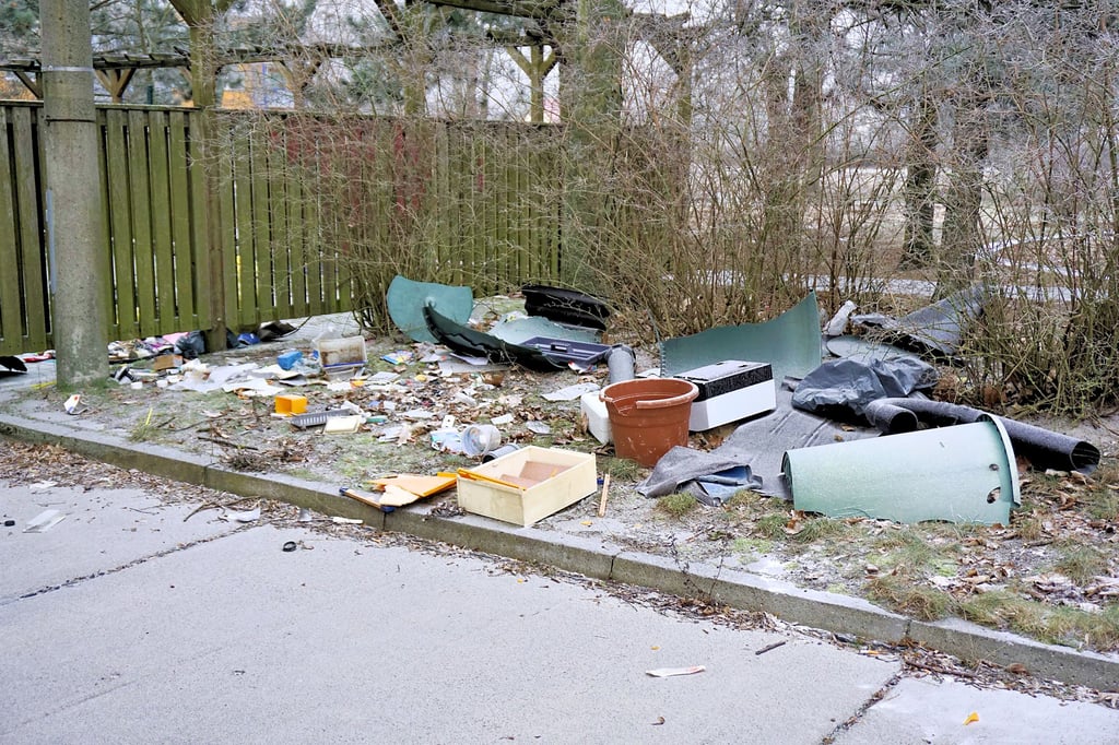 Das ist der aktuelle Müll, der in dem Genthiner Wohngebiet illegal abgeladen wurde.
