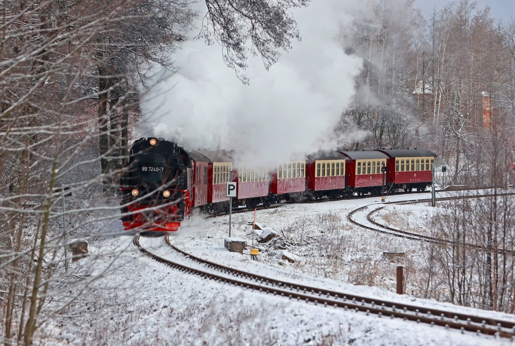 Ein Zug der Harzer Schmalspurbahnen fährt am Bahnhof Drei-Annen-Hohne ab.