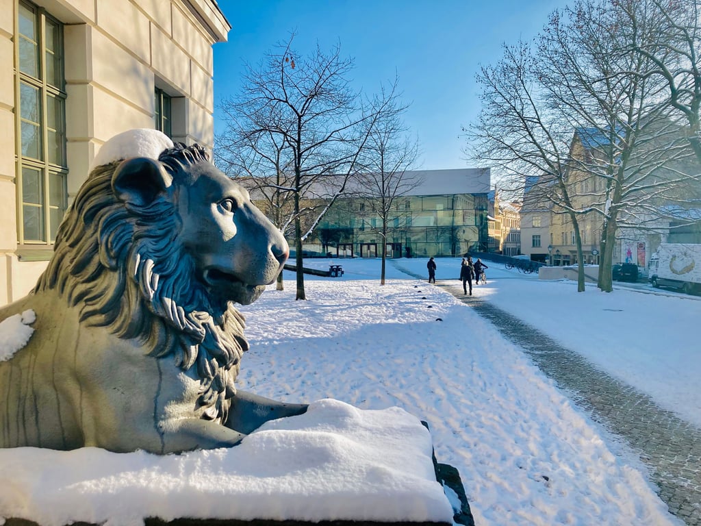 Der symbolträchtige Löwe am Uniplatz in Halle zeigt sich derzeit winterlich. Den Löwenanteil an künftigen Gehältern erwarten sich allerdings Studenten anderer Universitäten in Deuschland.