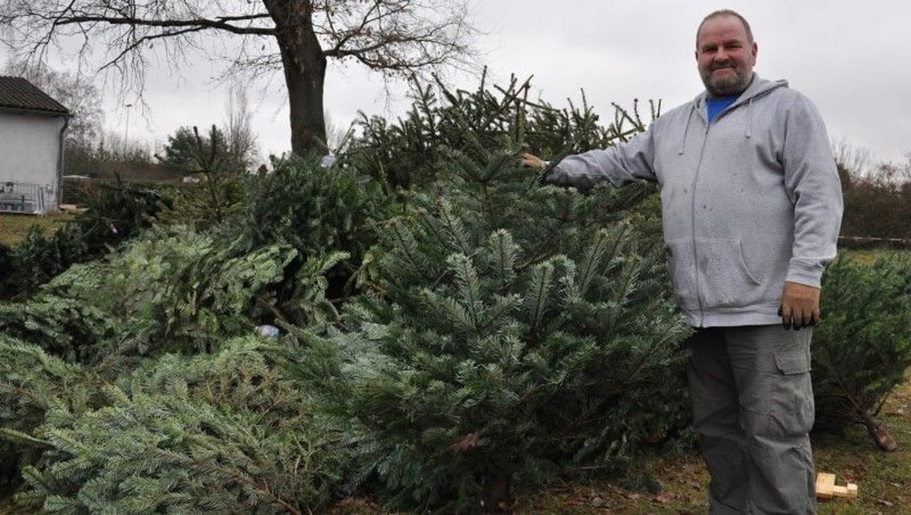 Rainer von Ende aus Genthin mit Weihnachtsbäumen.