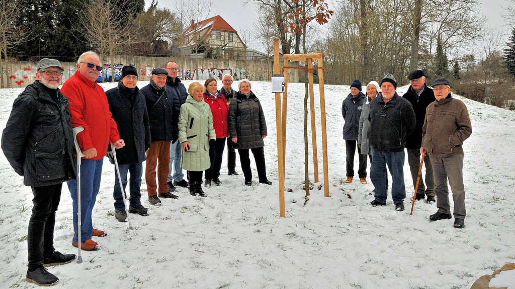 Im Bürgerpark in Sangerhausen war im Herbst eine Traubeneiche für Einar Schleef gepflanzt worden. Anläßlich des 80. Geburtstages wurde am 17. Januar 2024 eine Erinnerungstafel für den Künstler angebracht.