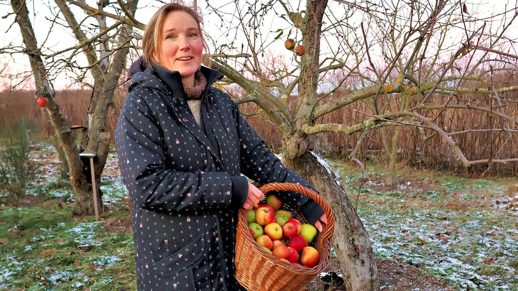 Monika Hanitzsch freut sich jedes Jahr über die Ernte von ihren alten Apfelbäumen in Havelberg. Mit guter Lagerung reicht der Vorrat aus verschiedenen Sorten unabhängig vom Supermarktangebot über den Winter.