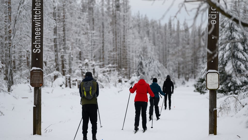 Wintersportler sind mit ihren Skiern am Sonnenberg im Harz auf der Schneewittchen-Loipe unterwegs.