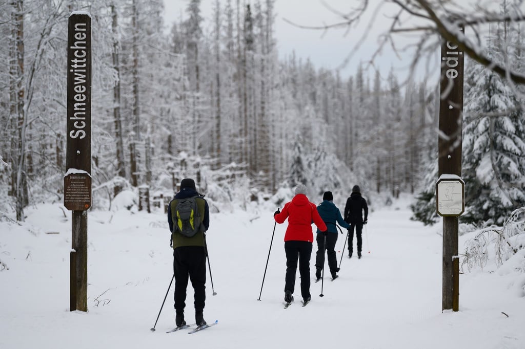 Wintersportler sind mit ihren Skiern am Sonnenberg im Harz auf der Schneewittchen-Loipe unterwegs.