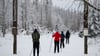Wintersportler sind mit ihren Skiern am Sonnenberg im Harz auf der Schneewittchen-Loipe unterwegs.
