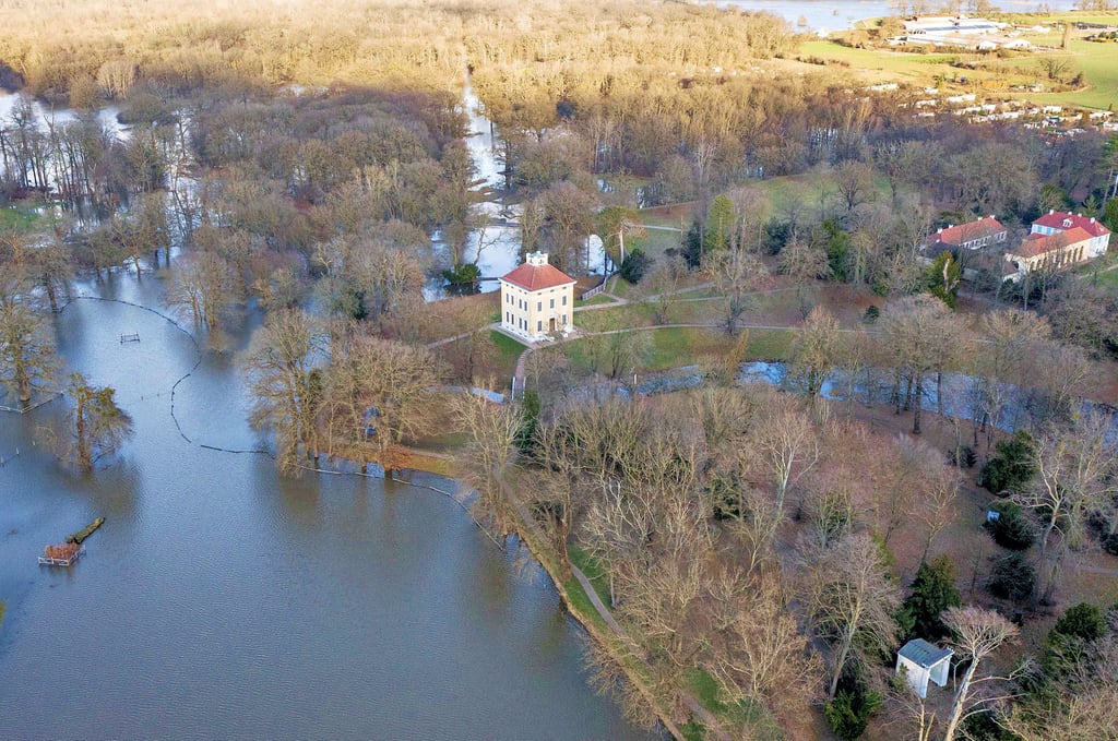 Winterhochwasser an der Mulde rund um Luisium und Gestüt. Die Sorge, dass das Wasser erhebliche Schäden anrichten könnte, war groß.