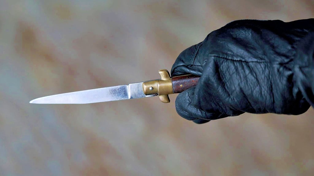 Die Messerattacke, bei der ein Syrer im Sommer vorigen Jahres in Halberstadt lebensgefährlich verletzt wurde, beschäftigt nach einer Revision nun den Bundesgerichtshof.