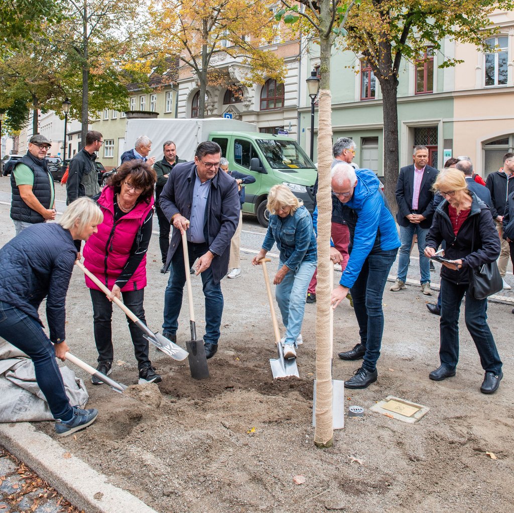 Am Naumburger Lindenring pflanzt der Unternehmerverein den ersten Baum der neuen Aktion "1.000 Bäume".