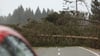 Die L100 zwischen Elend und Drei Annen Hohne ist wegen umgestürzter Bäume gesperrt.