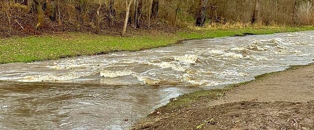 Seit die Fischtreppe fertiggestellt ist, fließt laut Andreas Zieger viel mehr Wasser in die Alte Saale.