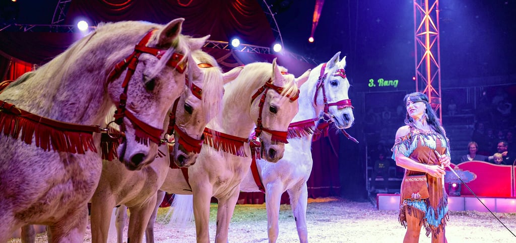 Besucher des Circus Maximus können sich auch auf Pferdedressuren freuen.