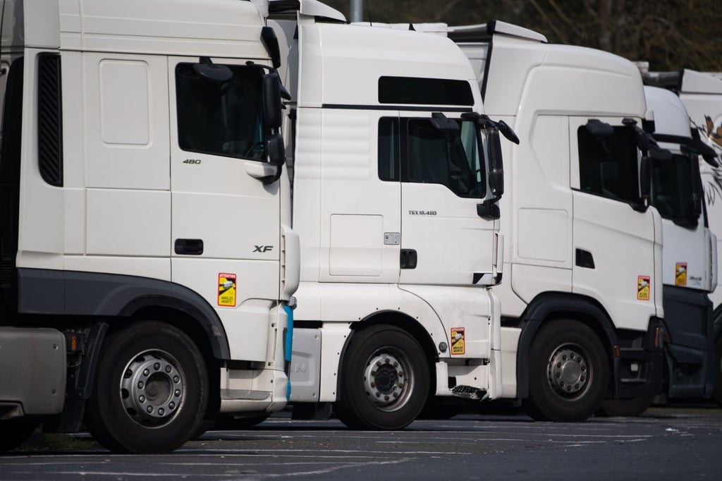Lastwagen auf einer Rastanlage. Im vergangenen Jahr wurden in der EU 346.986 Lastwagen neu zugelassen.