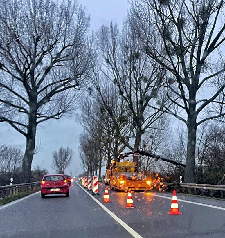 Bundesstraße 1 Bei Burg: Nach Tödlichem Unfall Werden Schäden Behoben