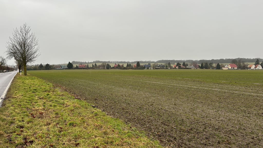 Hier soll in Magdeburg gebaut werden.Foto:
