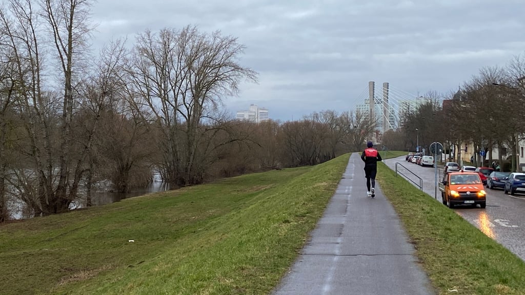 Jahrelang wurde diskutiert und geplant - jetzt hat die Stadt Magdeburg ein Datum für den Baustart gesetzt: Bald soll dieser Deich erneuert werden.