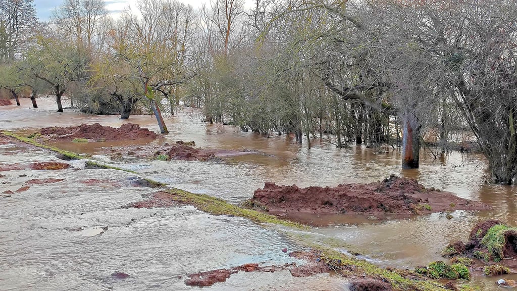 Durch die Deichscharte südlich von Katharinenrieth läuft Wasser aus der Helme auf die angrenzenden Felder.