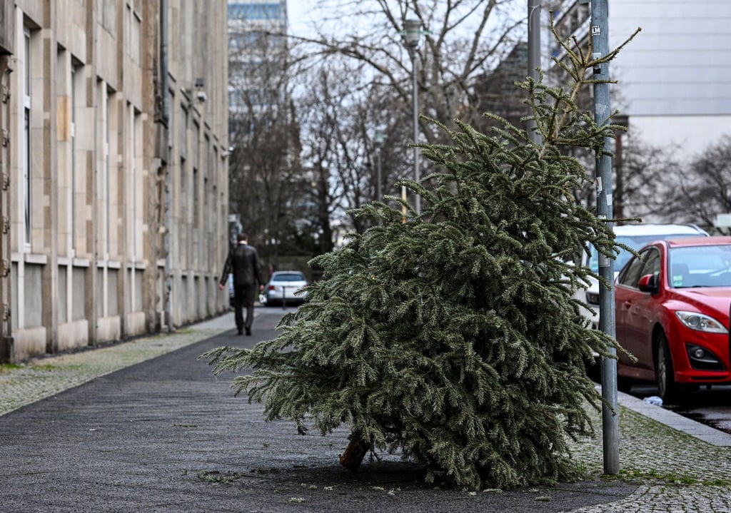 Ein Weihnachtsbaum ist auf einem Fußgängerweg in Kreuzberg abgestellt.