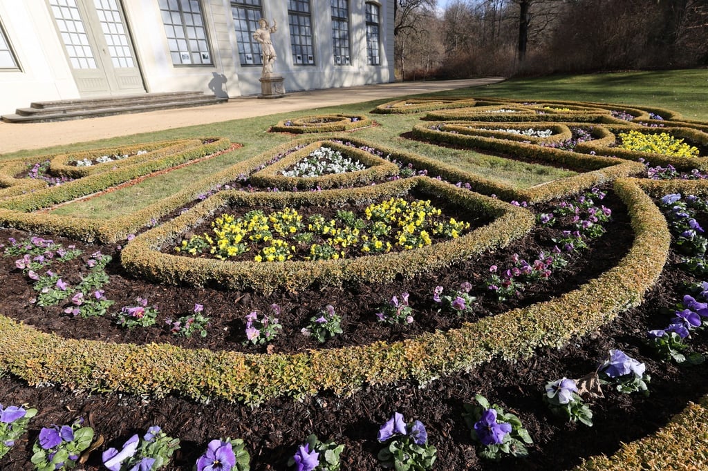 Frühlingsblumen blühen in einem Beet vor dem Sommerpalais im Fürstlichen Greizer Park.