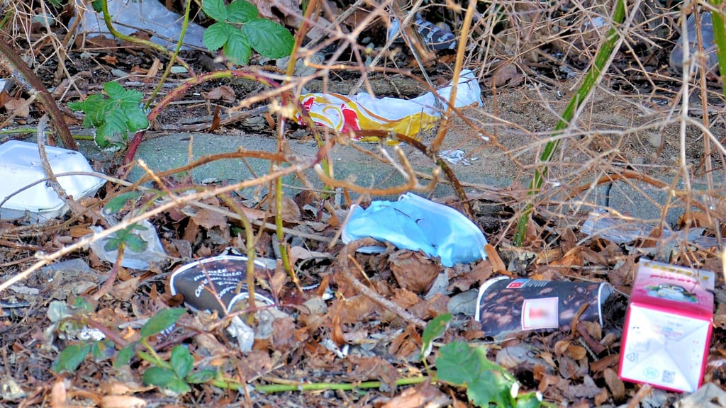 Nicht nur Einwegverpackungen werden gern einfach achtlos weggeworfen. Die Bürgerinitiative „Zerbst blüht auf“ hat jetzt einen Maßnahmenkatalog entworfen, um der Vermüllung der Stadt entgegen zu wirken.