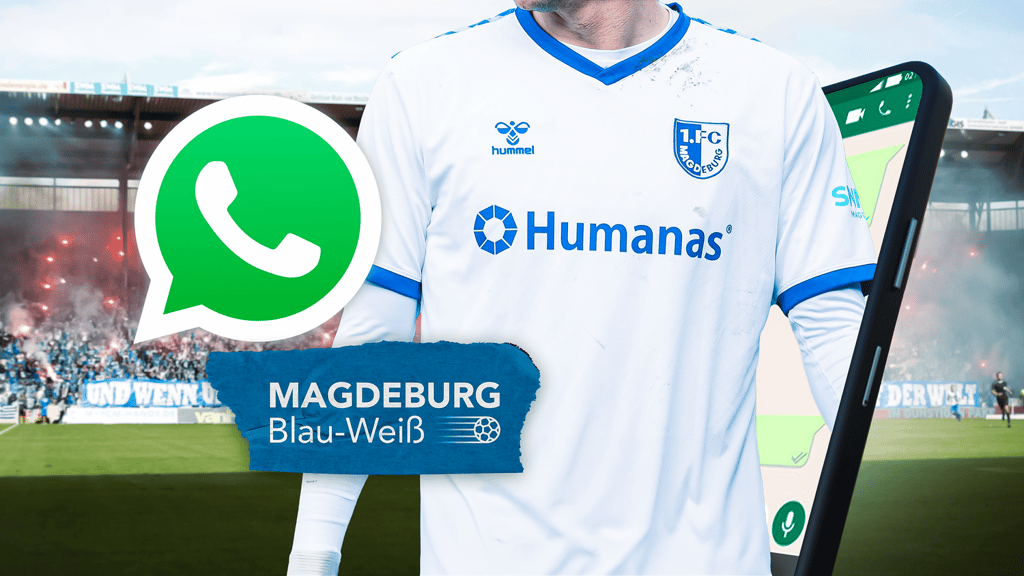 Mit dem Whatsapp-Kanal von Magdeburg Blau-Weiß immer auf dem Laufenden bleiben.