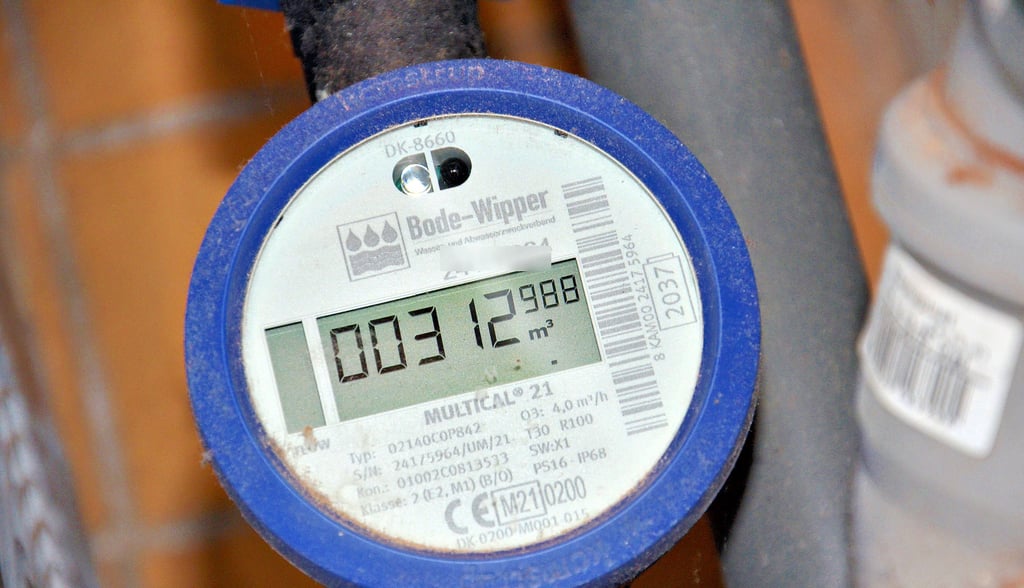 Seit dem 1. Januar 2024 verlangt der WAZV Bode-Wipper auf Beschluss der Verbandsversammlung für solche Wasserzähler einer jeden Wohnung 8,83 Euro pro Monat.