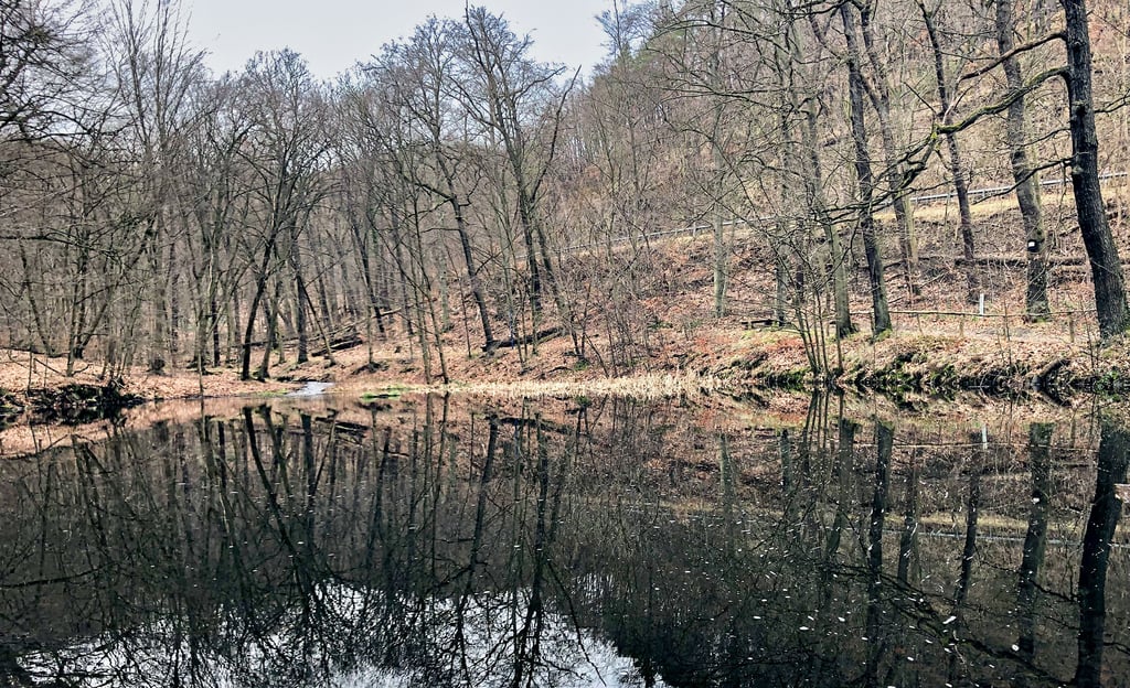Der Fischteich im Kalten Tal in Bad Suderode.