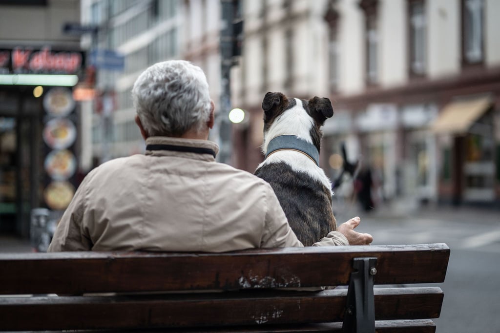 Ein älterer Herr und sein Hund sitzen auf einer Bank.