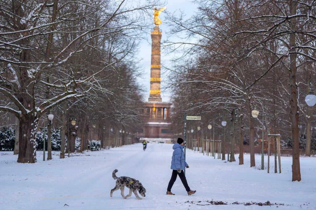 Eine Frau geht mit ihrem Hund vor der Kulisse der Siegessäule im verschneiten Tiergarten spazieren.