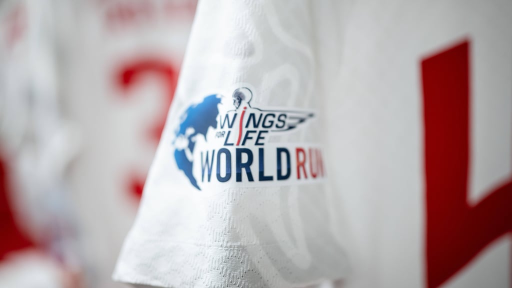 Das "Wings for Life"-Logo auf dem Trikot von RB Leipzug.