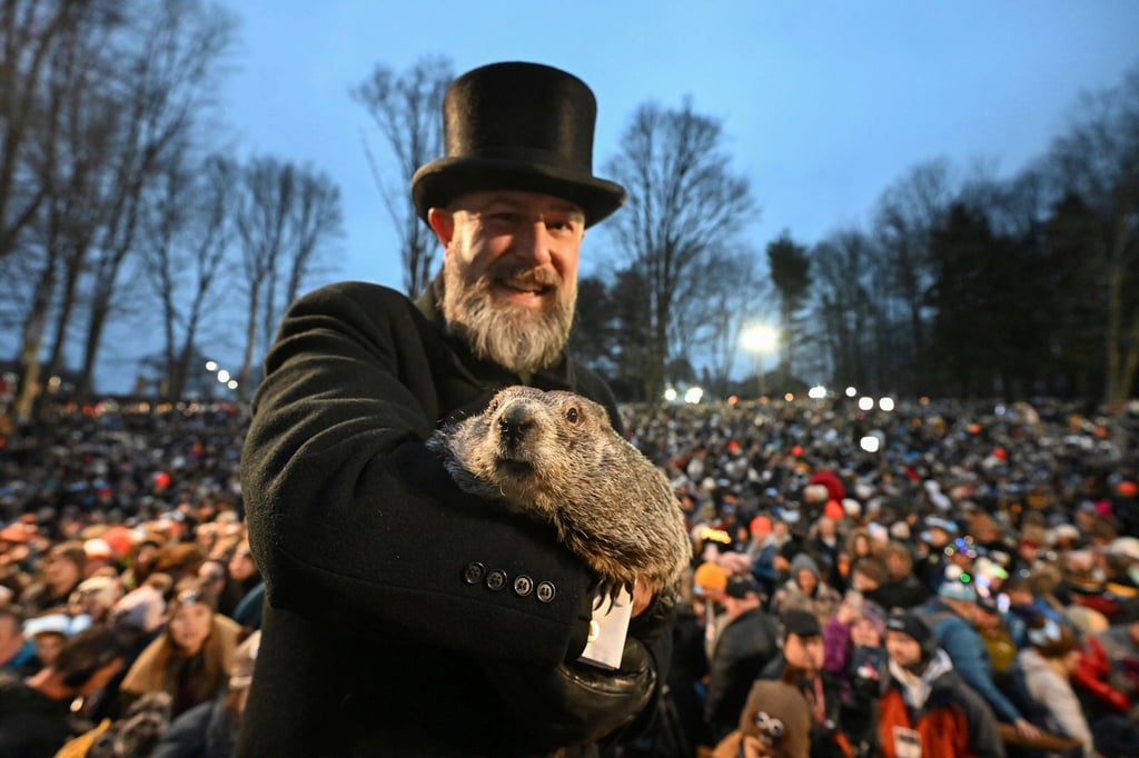 Das Murmeltier als Wetterfrosch: Punxsutawney Phil.