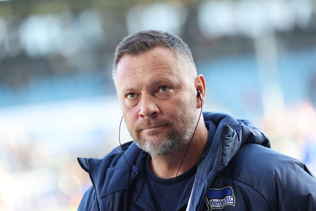 Herthas Trainer Pal Dardai vor dem Spiel.