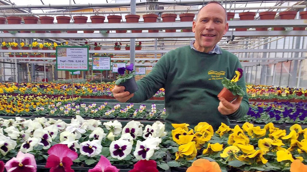 In den Gewächshäusern von Gärtnermeister Joachim Hoffmann aus Nachterstedt gibt es schon mitten im Winter den duftenden Frühling.