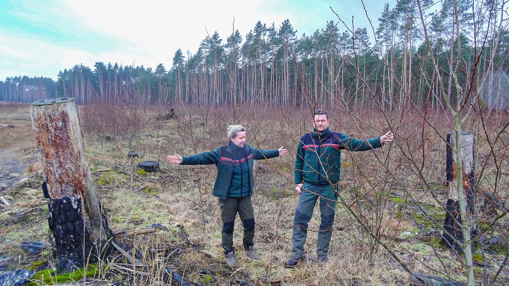 Die verkohlten Baumstümpfe sind die Grenzen eines früheren „Handtuchgrundstücks“, zeigt Forstamtsleiterin Katja Döge. Kollege Stefan Kaiser, Leiter des Reviers Seehausen in der Altmark, hält die Hand an eine Pappel aus Naturaufwuchs.