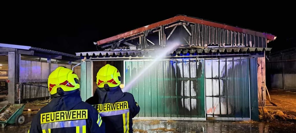 Der Brand der Stallanlage im Januar in Buschkuhnsdorf