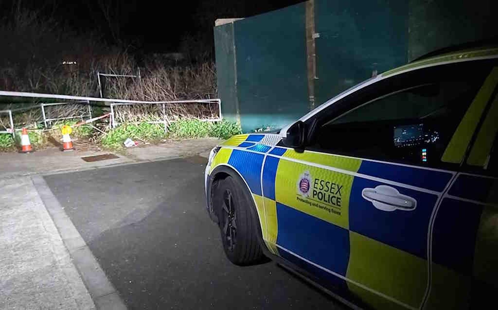 In Essex wurde eine Frau schwer verletzt aufgefunden und verstarb noch am Tatort.
