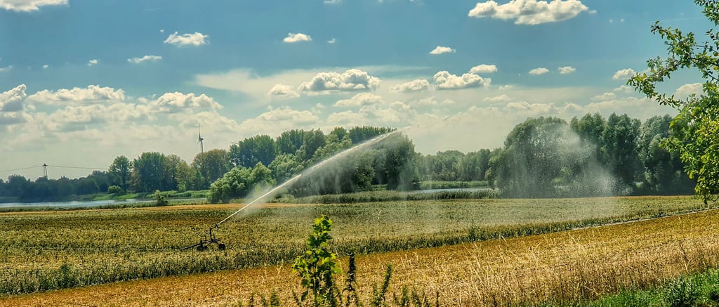 Da war es noch neu: Seit August 2022 durfte Oberflächenwasser im Salzlandkreis nur mit Ausnahmegenehmigung unter bestimmten Bedingungen entnommen werden.
