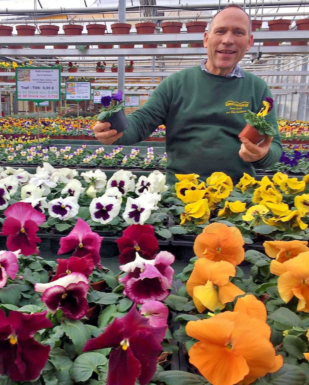 In den Gewächshäusern von Gärtnermeister Joachim Hoffmann aus Nachterstedt gibt es schon mitten im Winter den duftenden Frühling.