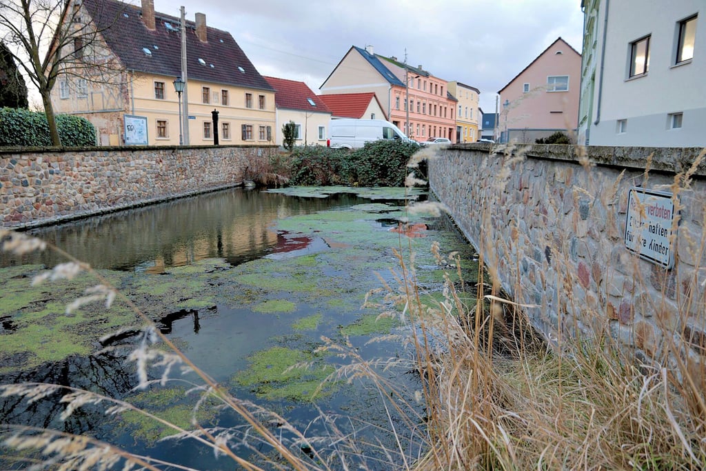 Blick auf den alten Dorfteich (Pferdeschwemme). Das Gewässer ist pflegebedürftig.