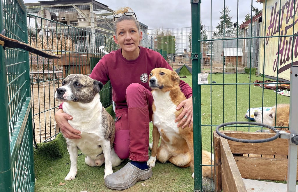 Anka Purwin mit Pflegehunden auf ihrem Gnadenhof in Lüttgenziatz.