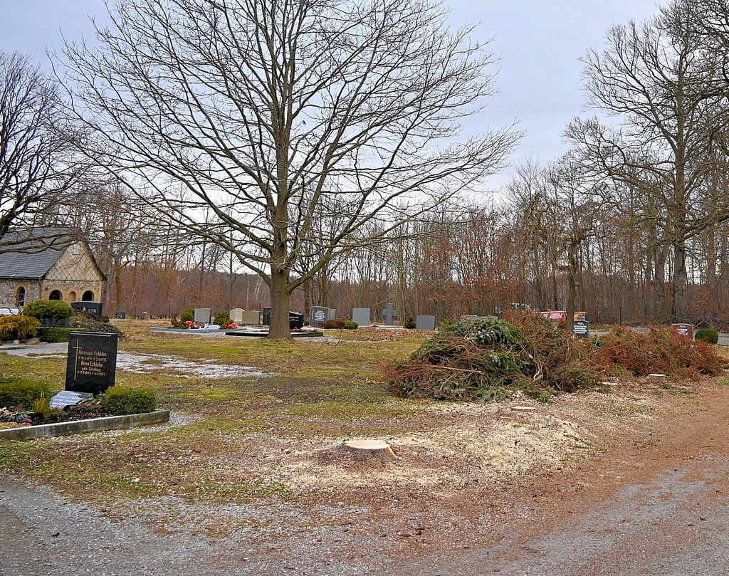 Auf dem Hüttenröder Friedhof zeugen nur noch ein paar Stümpfe von den gefällten Bäumen.
